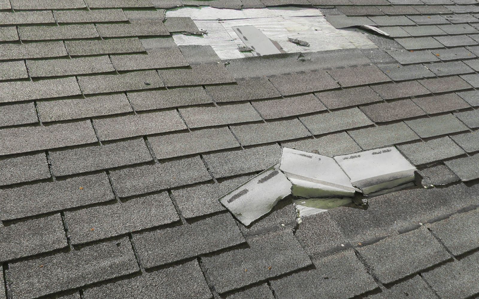 Trusted Roof Maintenance